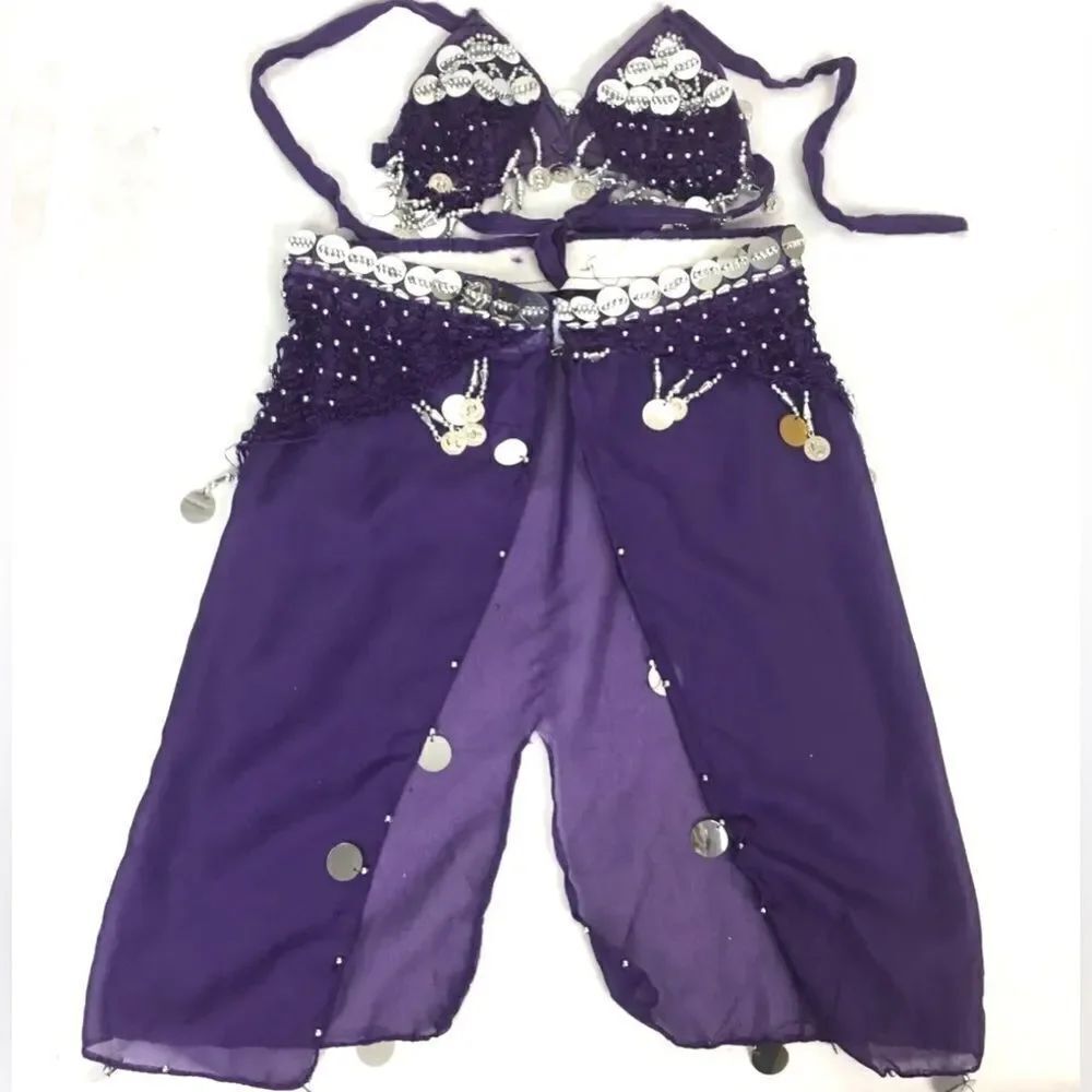 Belly Dancer Girls Toddler 2PC Purple Costume & Silver Dangles SMALL